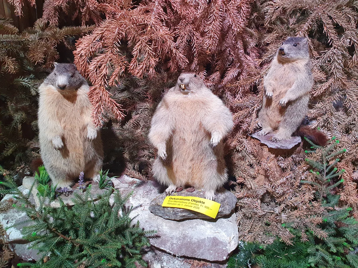 Impressionen vom Indian Land Museum in Gossau